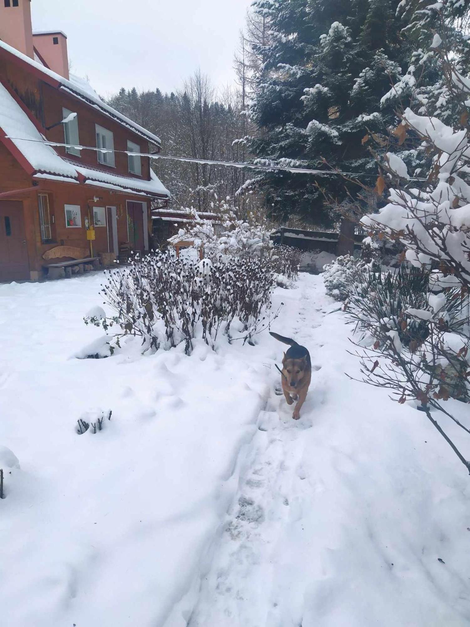Agroturystyka U Psotki Kuzmina エクステリア 写真