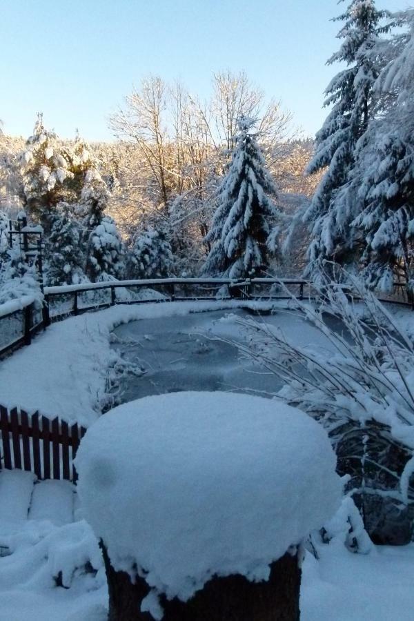 Agroturystyka U Psotki Kuzmina エクステリア 写真